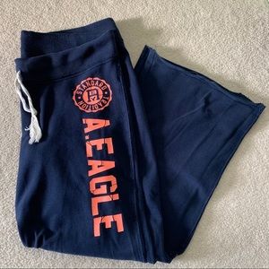 American Eagle Wide-Leg Sweat Pants